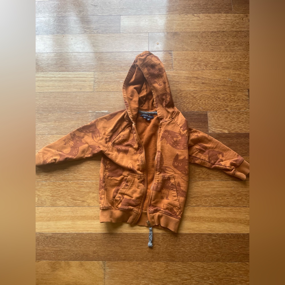 Souris Mini hoodie size 3T fox pattern